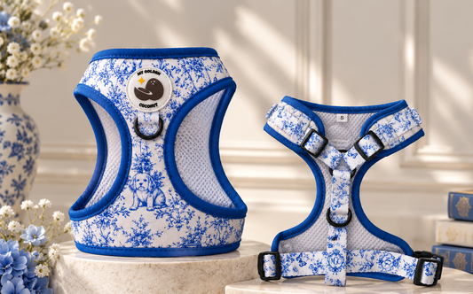 Arnes ajustable Golden Porcelaine
