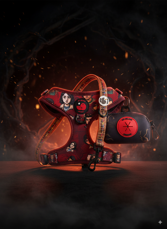 Conjunto ajustable Golden Things