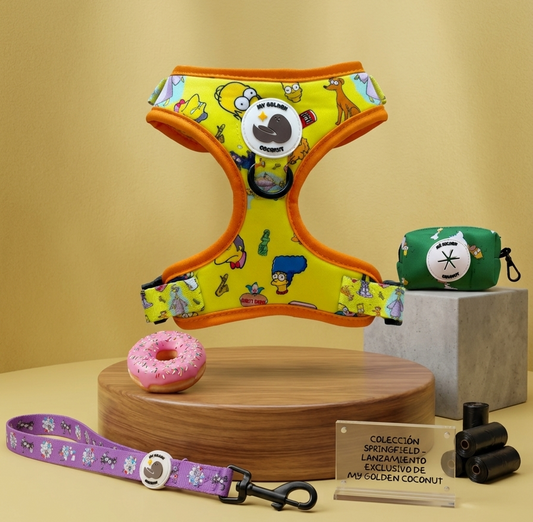 Conjunto ajustable The Goldens