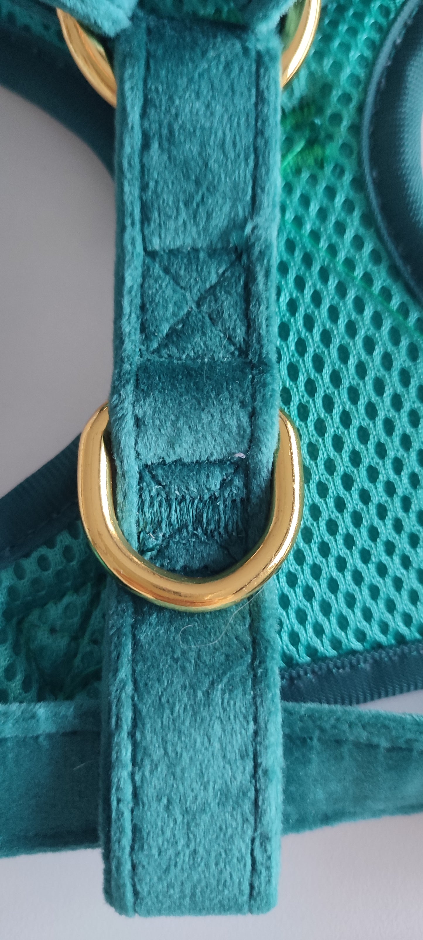 Arnés ajustable Golden Luxury