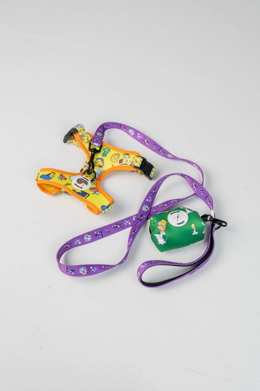 Conjunto ajustable The Goldens